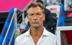 Renard May Leave the Tunisian National Team After the World Cup