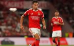 Newcastle asegura a Ammar Didic por 35 millones de euros