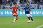 Soufiane El-Faouzi jumps to €12 million and becomes Schalke's most expensive player