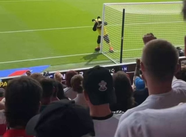 Watford Mascot Turns 'Spy' to Taunt Southampton Fans!