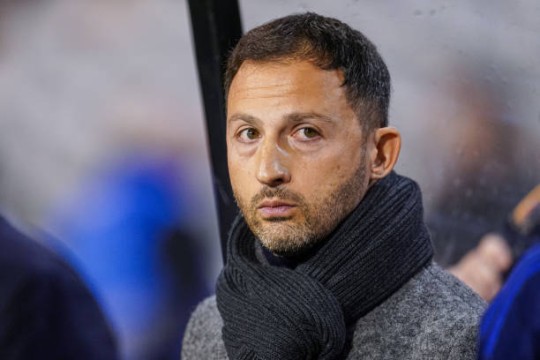 إقالة دومينيكو تيديسكو من تدريب المنتخب البلجيكي