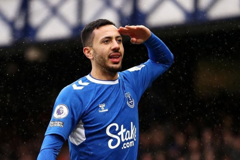 Everton and Crystal Palace Agree on McNeil-Johnson Swap Deal