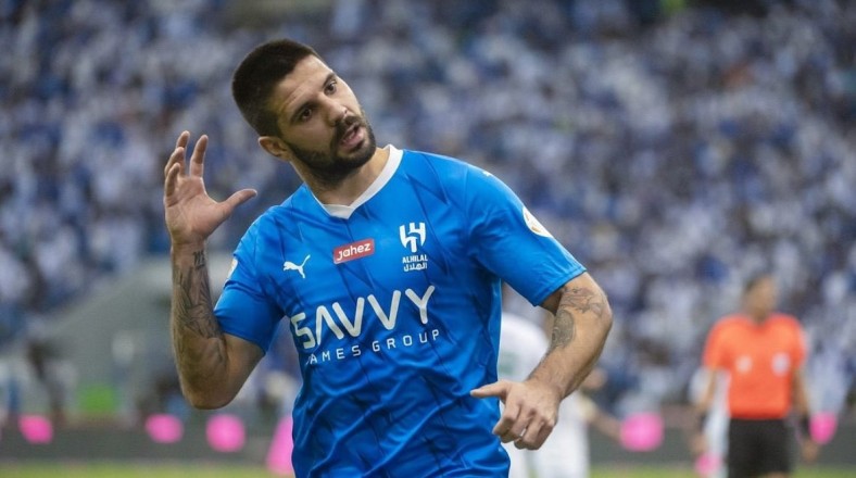 Deleting a goal from Aleksandar Mitrovic's tally
