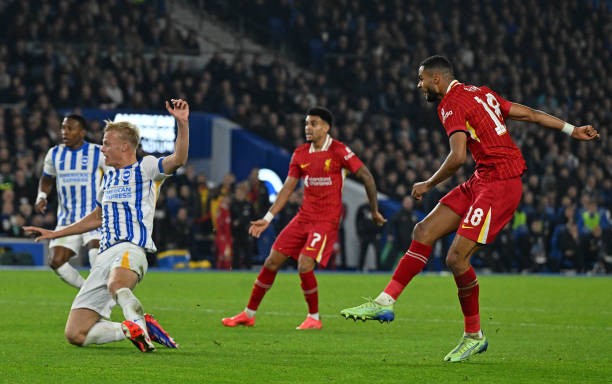 Jacobo leads Liverpool to victory over Brighton