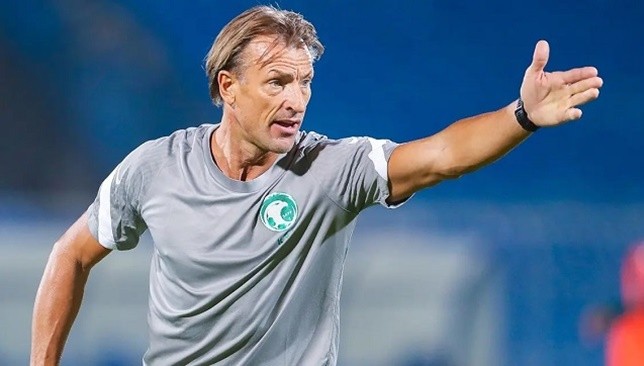 Hervé Renard is a candidate to coach the Australian national team