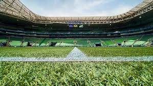 Palmeiras: Neymar, Silva and DeBay are superficial