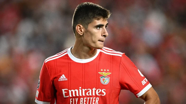 Juventus is waiting for a change in Benfica's position in order to include its player