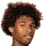 Dimitri Lucea