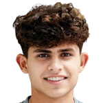 Mohammed Abdulrahman Assi