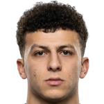 Ali Mahmoud