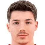 Aldin Mesic