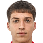 Dimitrije Saric
