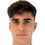 Alejandro Vergaz
