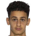 ديفيد مالكي