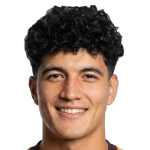 فتحي محمد