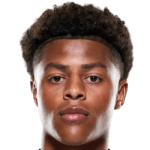 كوسيني ينجي