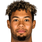 ميلان فان ايفيك