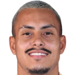 ليثيري سيلفا