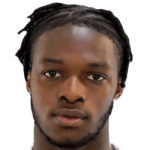 فيمي سيريكي