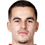 أنيس ميهميتي