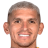 Torreira