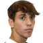 Roig