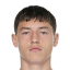 Pavic