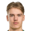 Tamminen