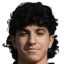 دي ميكيلي