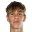 إيليا فولوشين