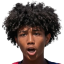 برودي ويليامز