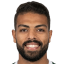 الهمامي