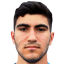 فيسيلجي