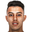 الوردي