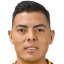 Bustos