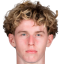 Holtman