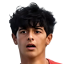 فينسنت