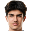 سيرتدمير