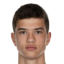 Potmesil