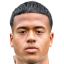Turfkruier