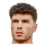 النجيلي