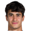 Navarro