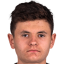 Dziedzic
