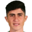 زافوشي