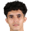 النجار