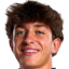 أولميدو