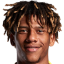 Todibo