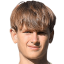 Holm