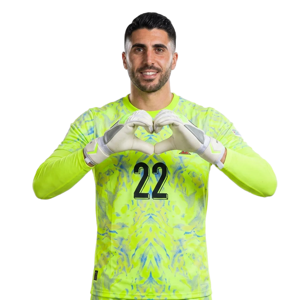 روي سيلفا