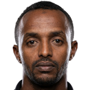 صلاح الدين عادل